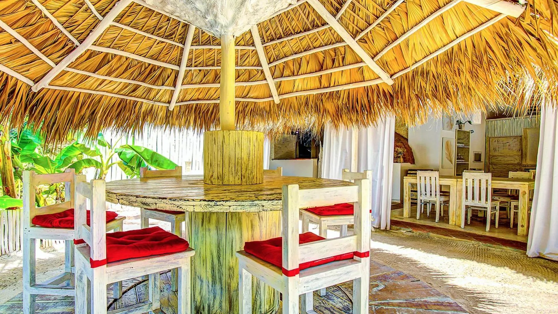 Tropicana Studios Playa Los Corales 푼타 카나 호텔