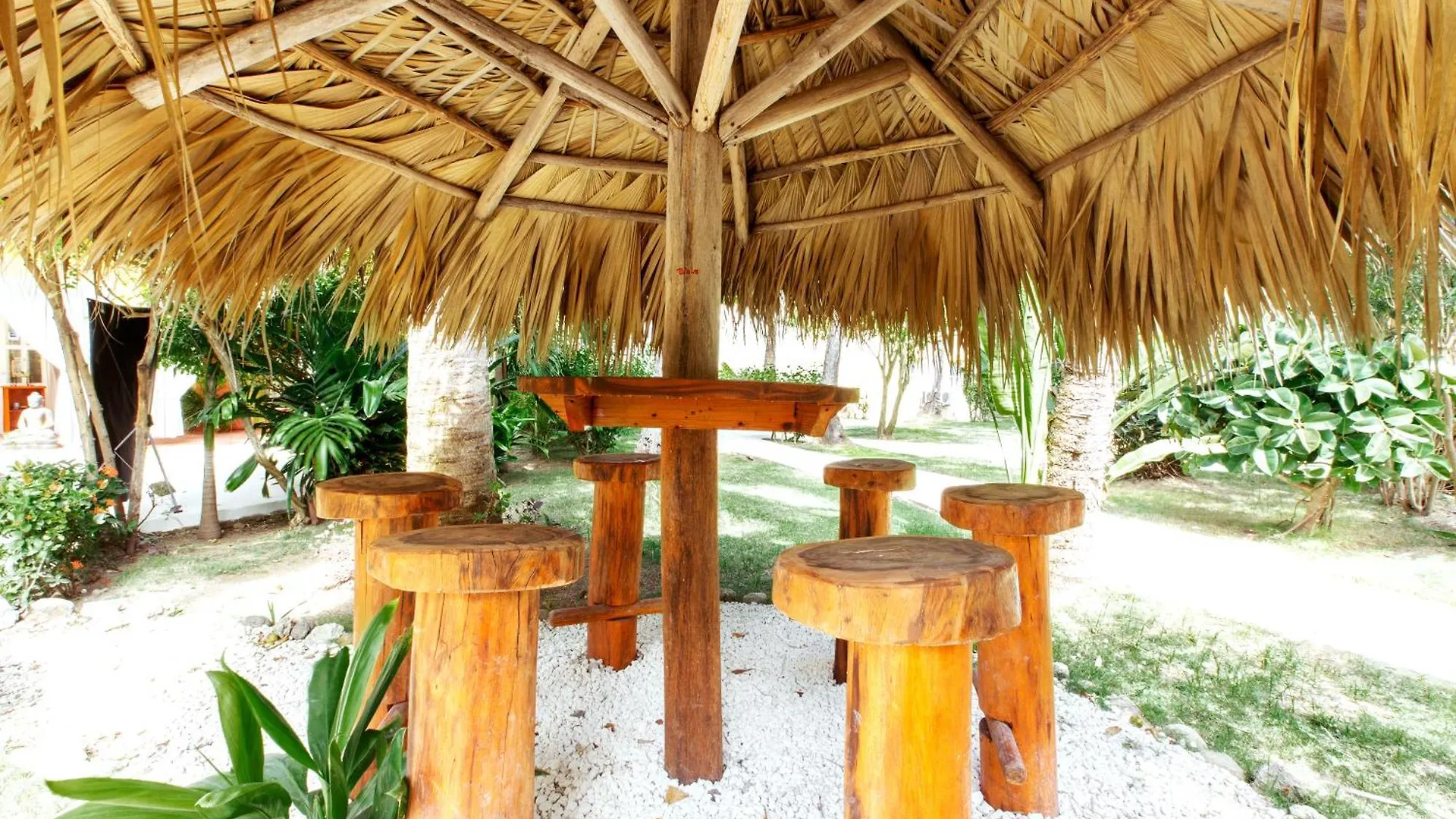 ***** 호텔 Tropicana Studios Playa Los Corales 푼타 카나 도미니카 공화국